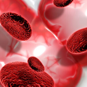 Blood Boost + Iron IV Five Sessions