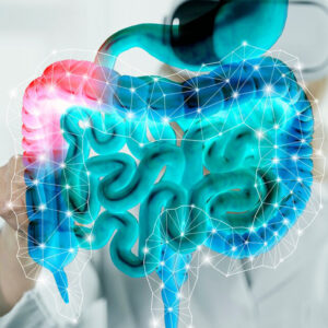 Healthy Gut Cleanse Single Session